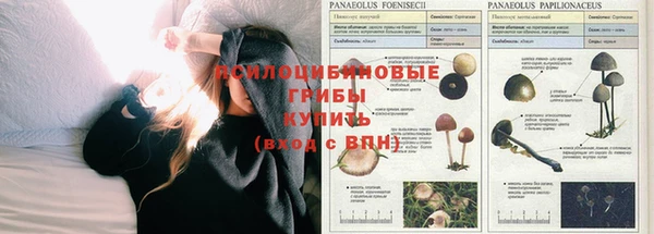 мескалин Нязепетровск