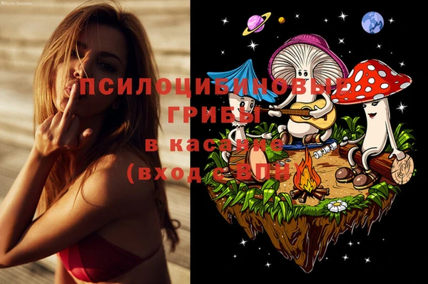 бошки Алексин