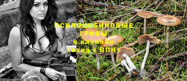 PSILOCYBIN Алексеевка