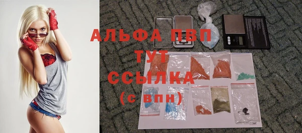 бошки Алексин