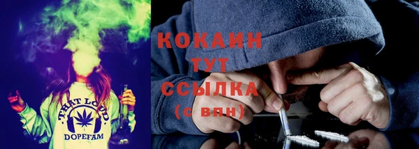 PSILOCYBIN Алексеевка