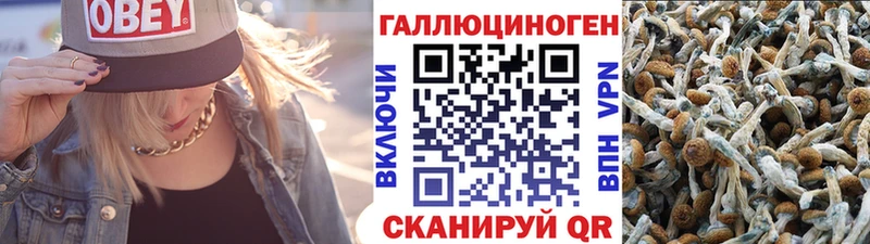 omg зеркало  что такое наркотик  Островной  Галлюциногенные грибы Psilocybine cubensis 